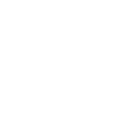 Cybersource logo