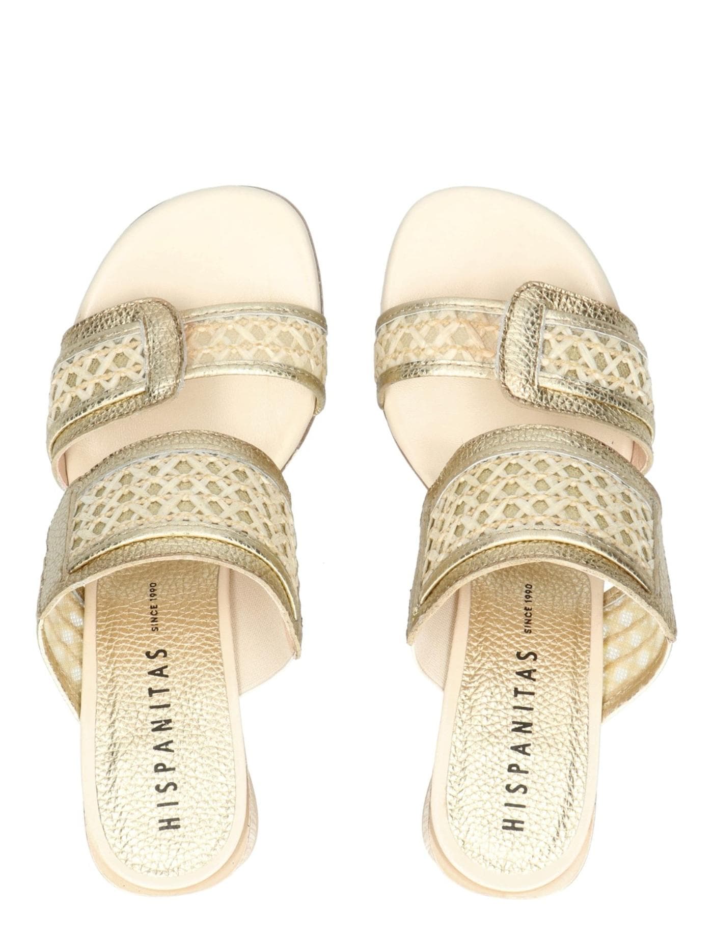 ORQUIDEA platino - image