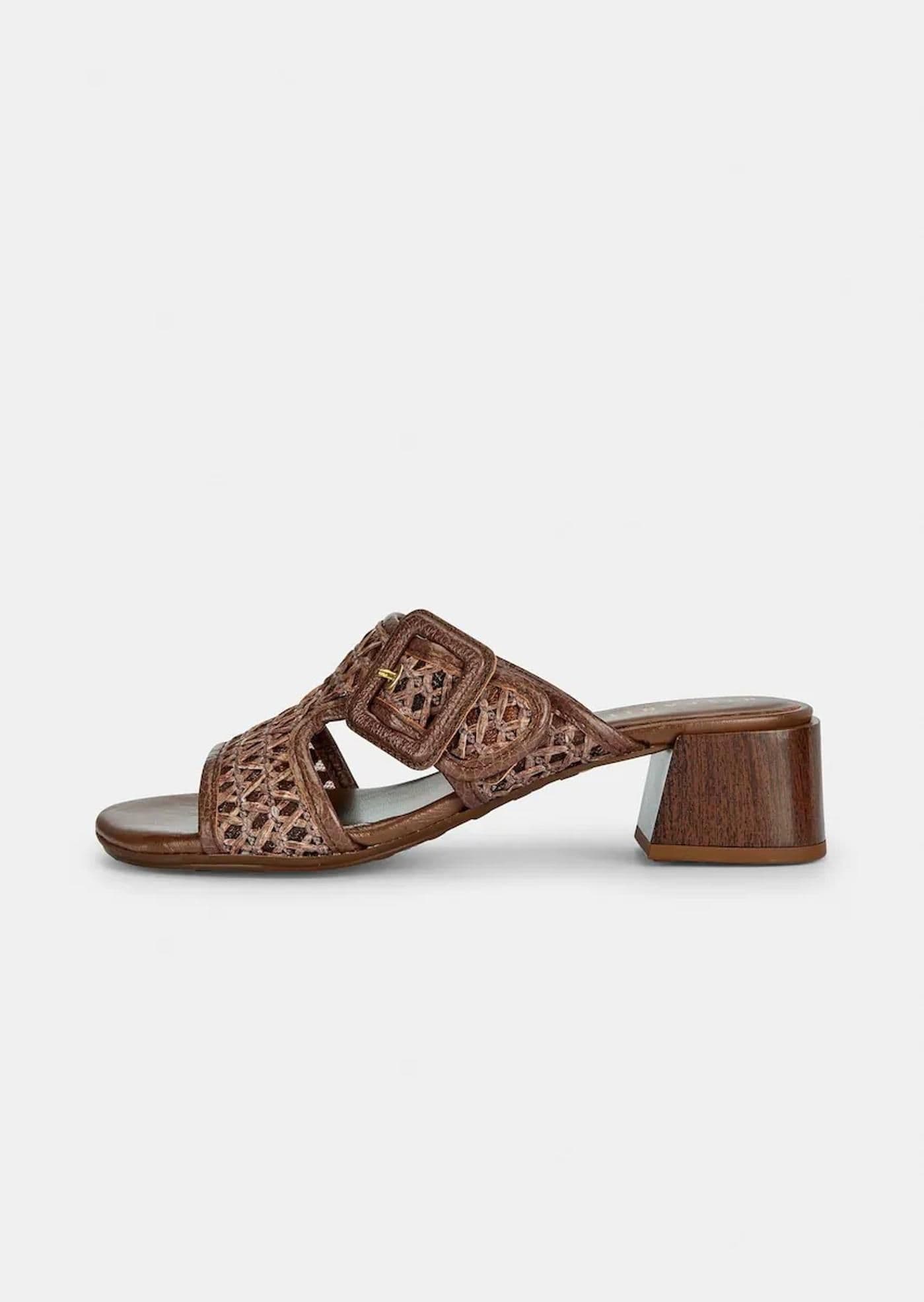 ORQUIDEA avellana - image