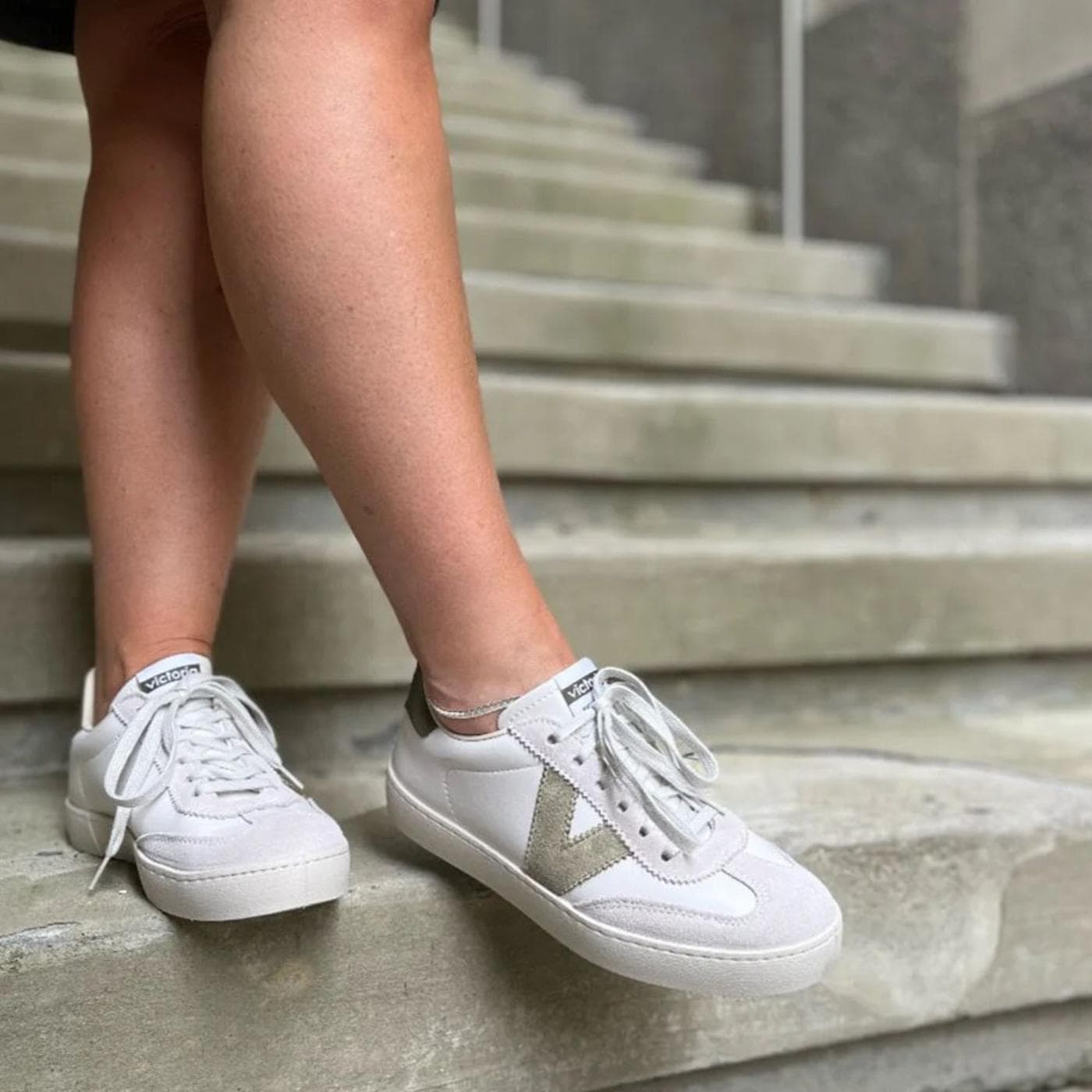 BERLIN CICLISTA safari - image