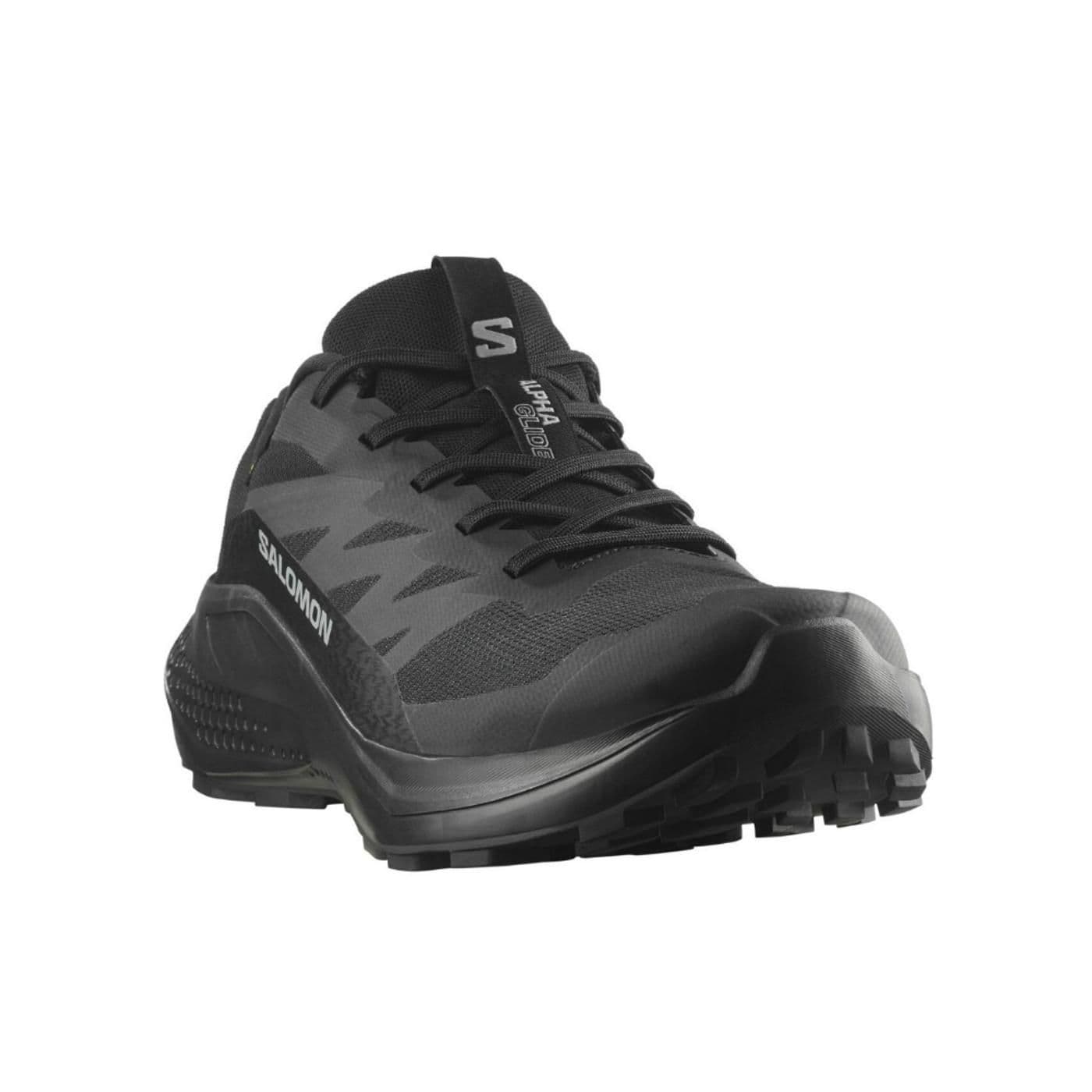 ALPHAGLIDE GTX black/asphalt/black - image