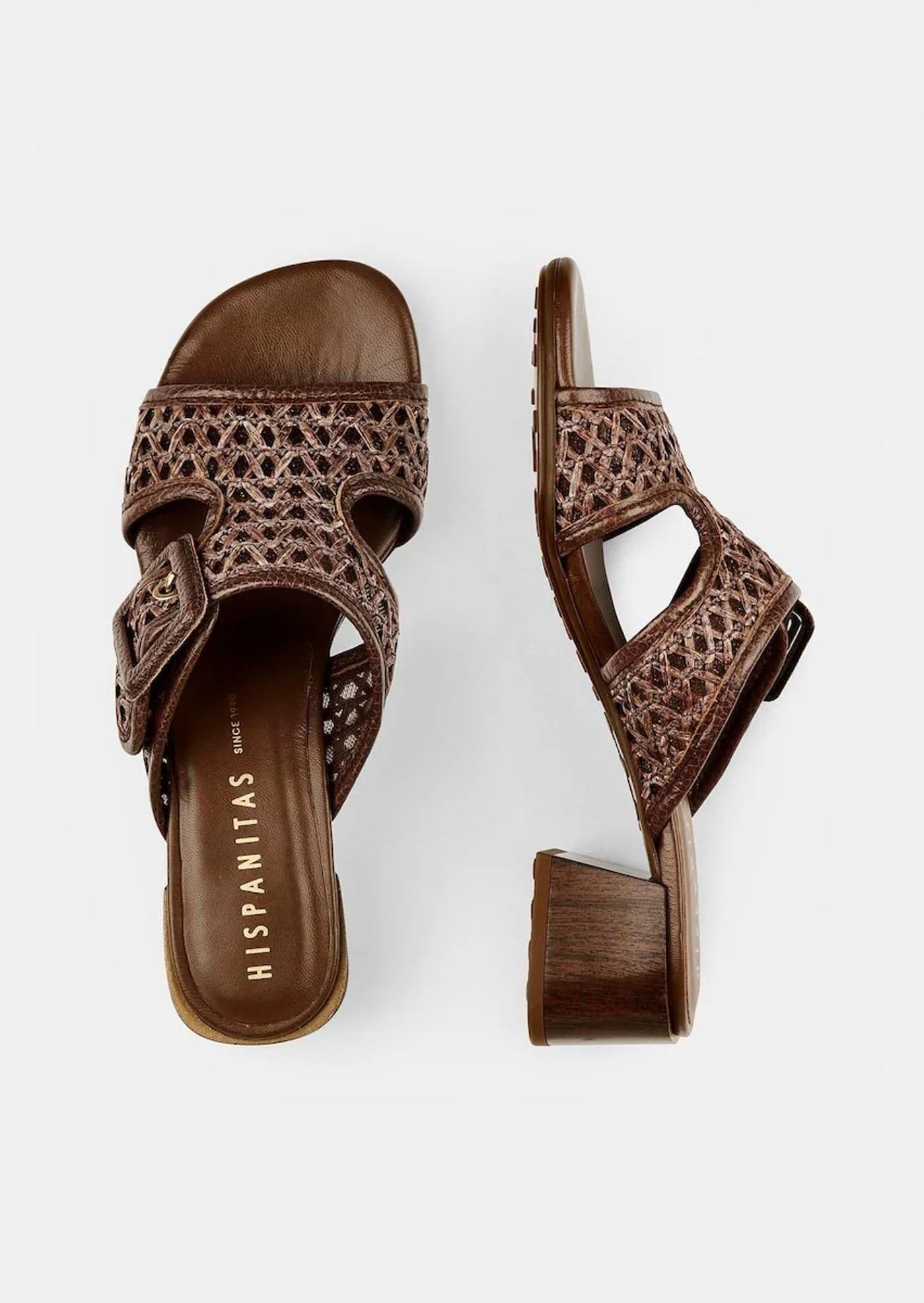 ORQUIDEA avellana - image