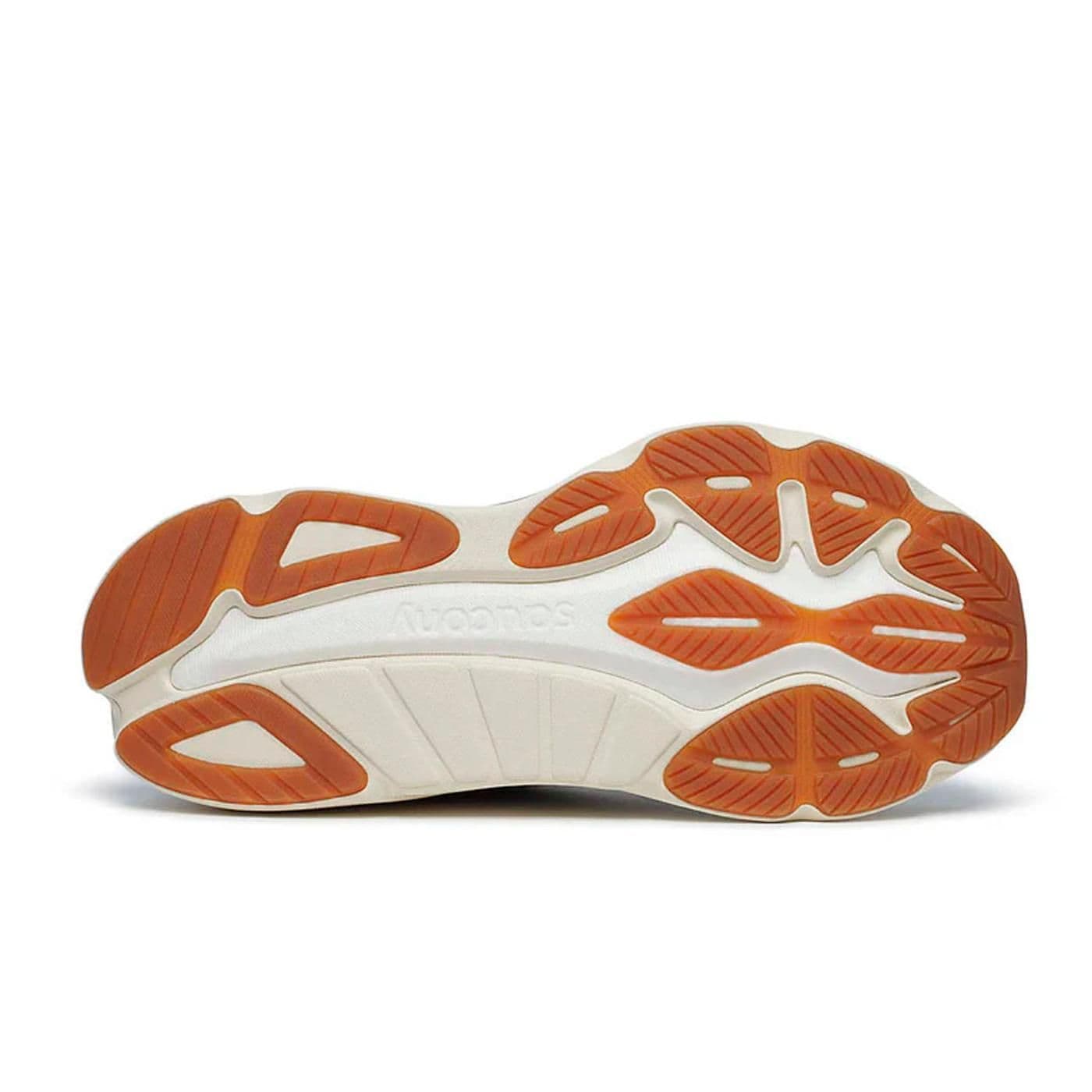 HURRICANE 24 bough - image