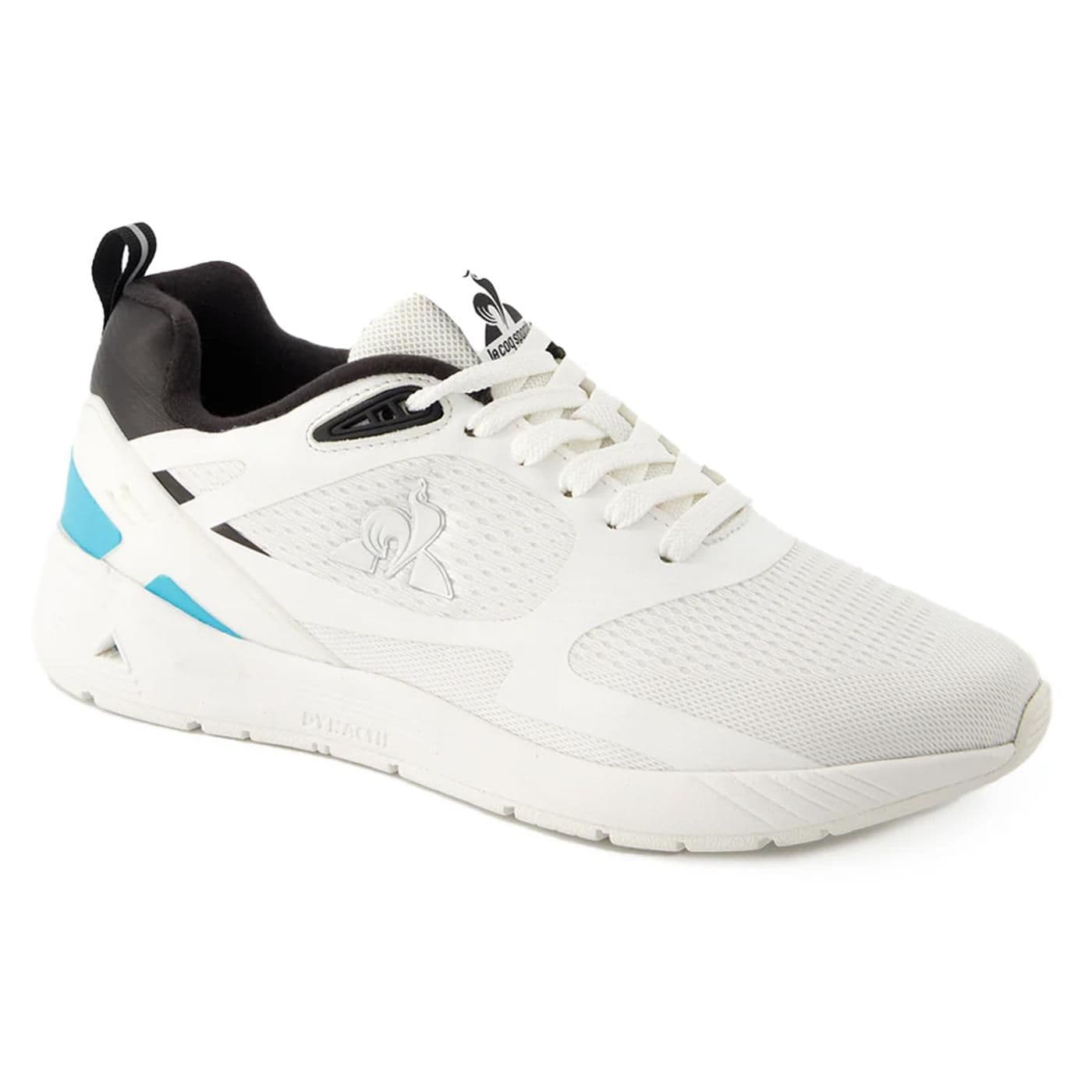 R1100_2 optical white/blue image.