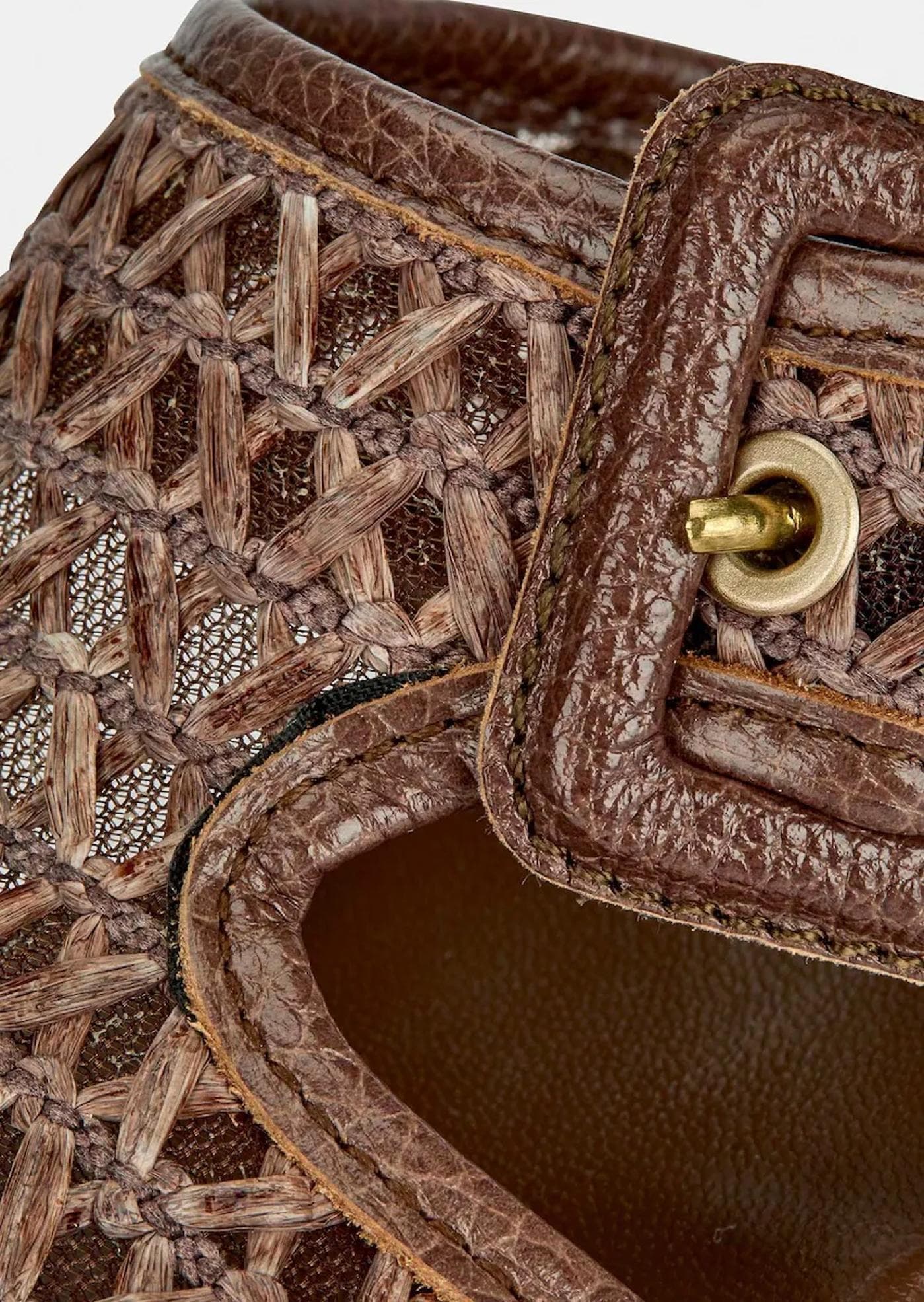 ORQUIDEA avellana - image