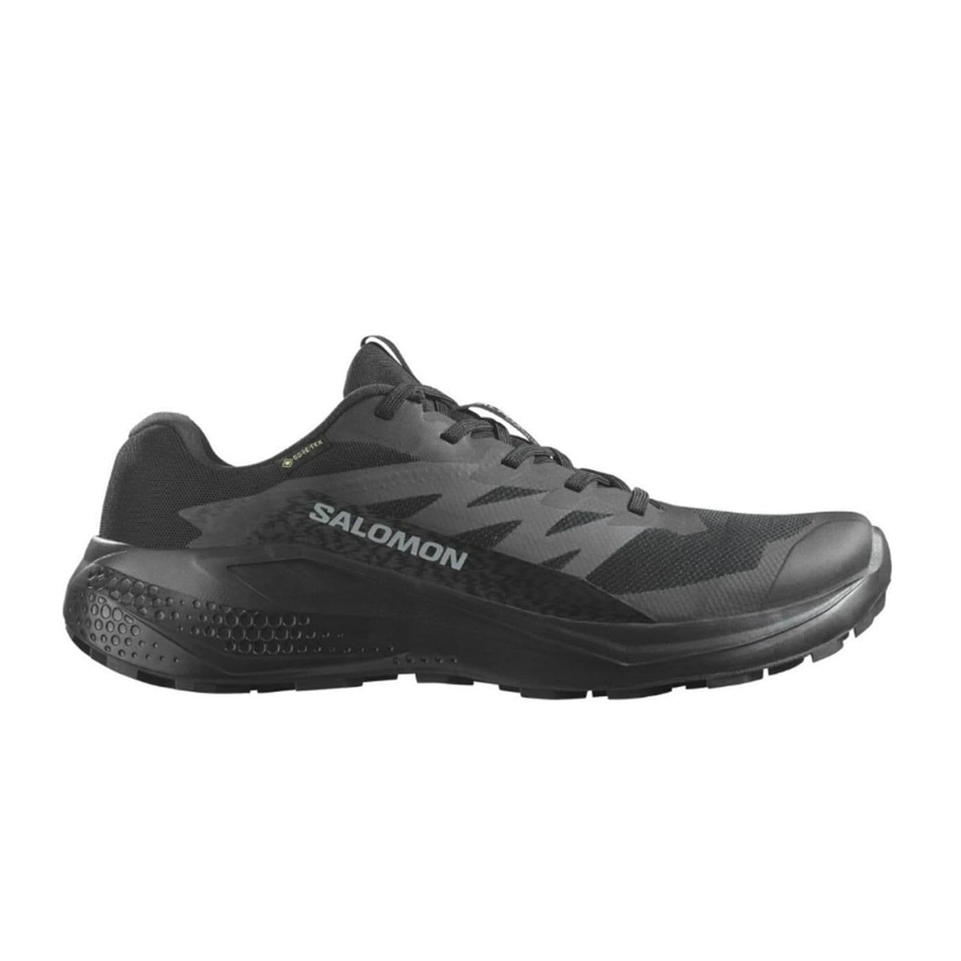 ALPHAGLIDE GTX black/asphalt/black image.
