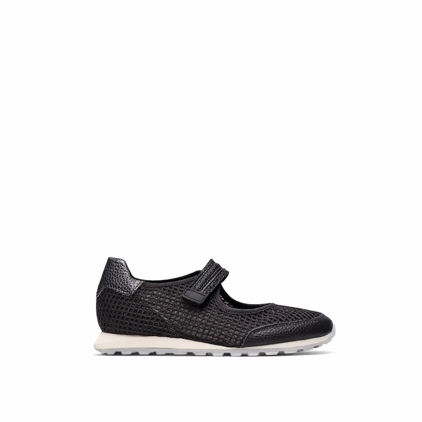 ZINNIA bolero- desert java- desert bolero- butter image.