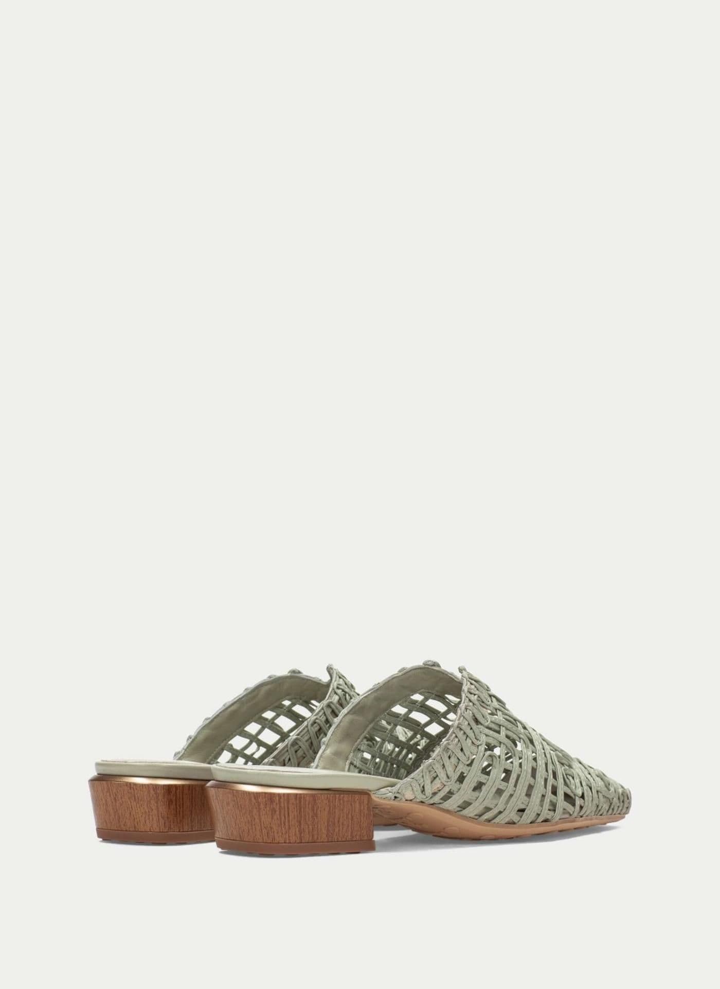 AZUCENA alga - image