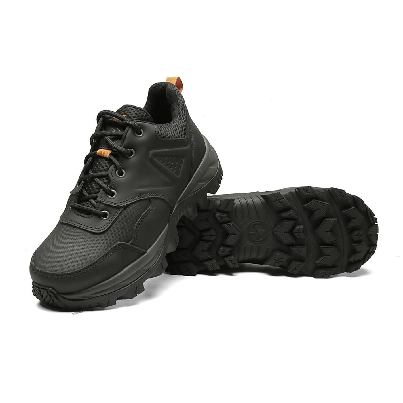 EMBER 01 c/horse grafite - image