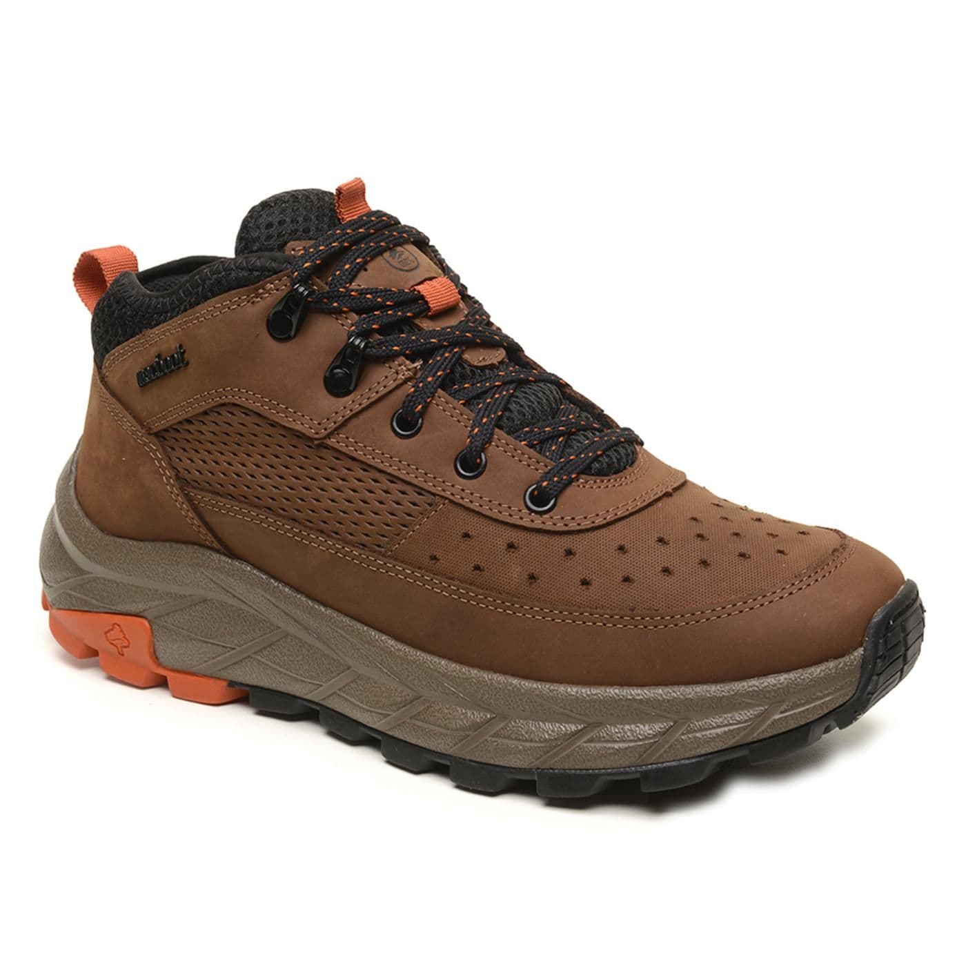 ZAPATO GRAV02-CH36A c/horse brown image.